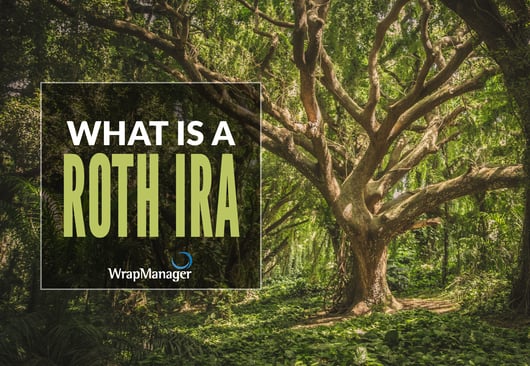 what is a roth ira.png